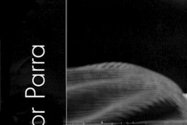 El francotirador en serio y en broma  [artículo] Patricio Heim