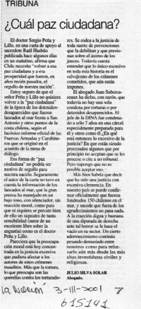¿Cuál paz ciudadana?  [artículo] Julio Silva Solar