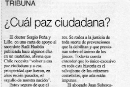 ¿Cuál paz ciudadana?  [artículo] Julio Silva Solar