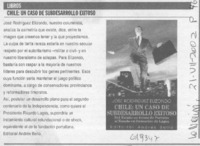 Chile, un caso de subdesarrollo exitoso  [artículo]