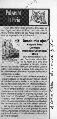 Desde mis ojos  [artículo]