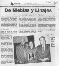 De nieblas y linajes  [artículo]