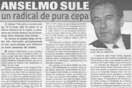 Anselmo Sule un radical de pura cepa  [artículo]