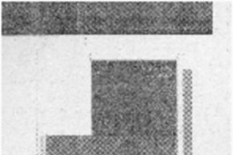 Del video-arte al net-art  [artículo]