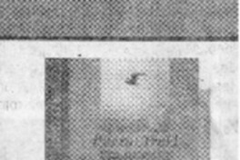 Puerto Trakl  [artículo]