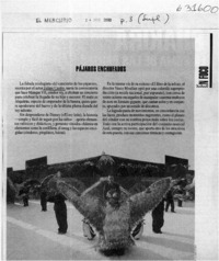 Pájaros enchufados  [artículo]