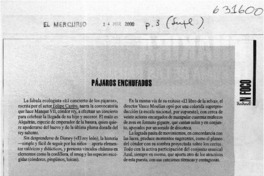 Pájaros enchufados  [artículo]