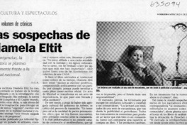 Las sospechas de Diamela Eltit  <artículo> A. G. B.