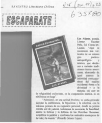 Los afanes  [artículo]