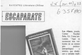 Los afanes  [artículo]