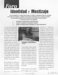 Identidad y mestizaje  [artículo]