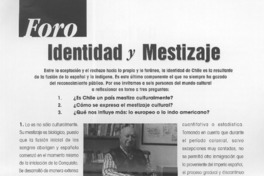 Identidad y mestizaje  [artículo]