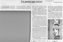 Un poeta que crece