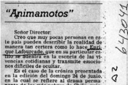 "Animamotos"  [artículo] Edwin Jeria Savelli