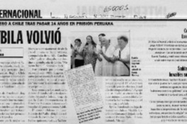 Sybila volvió  [artículo]