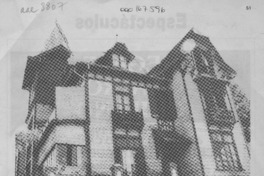 Hijo de las letras  [artículo] Delia Pizarro San Martín