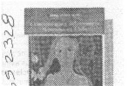 Criminología y delincuencia femenina en Chile  [artículo]