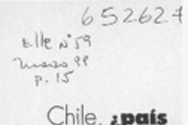 Chile, ¿país de perfectos o de defectos?  [artículo] Pilar Hurtado