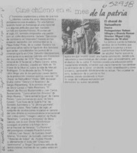 Cine chileno en el mes de la patria  [artículo]