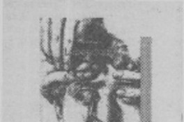 Laboratorio  [artículo]