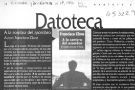 A la sombra del asombro  [artículo]