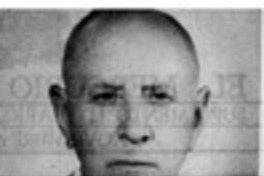 René Arabena Williams: mosaicos históricos