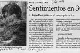 Sentimientos en 30 páginas.  [artículo]