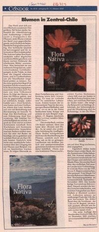 Blumen in Zentral-Chile