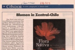 Blumen in Zentral-Chile