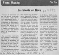 La colonia en Iloca.  [artículo] Fox.