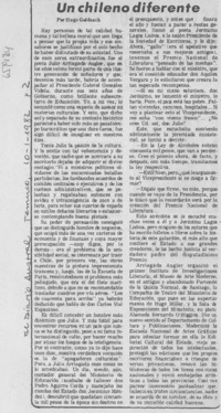 Un chileno diferente