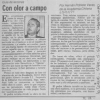 Con color a campo  [artículo] Henán Poblete Varas.