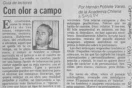 Con color a campo  [artículo] Henán Poblete Varas.