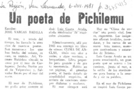 Un poeta de Pichilemu