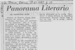 Panorama literario