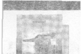 Un Grito en la noche.