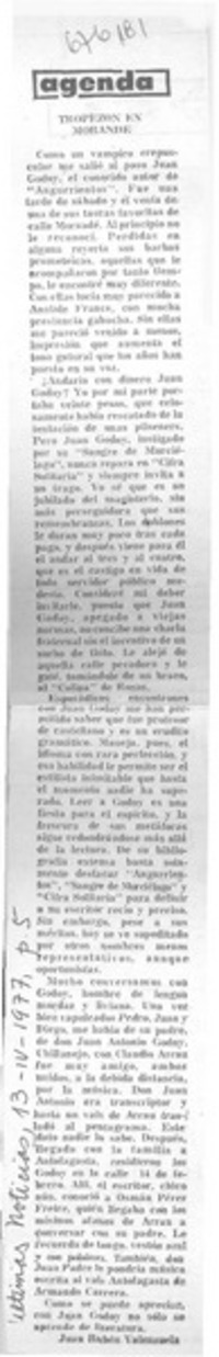 Tropezón de Morandé