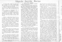 Edgardo Garrido Merino