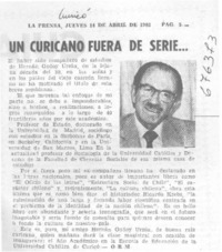 Un curicano fuera de serie --