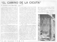"El camino de la cicuta"