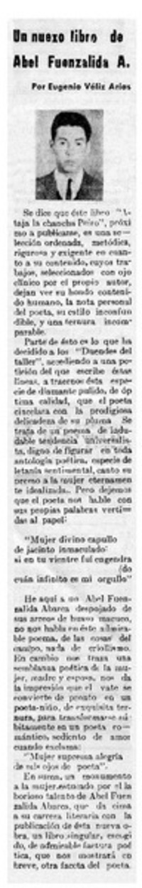 Un nuevo libro de Abel Fuenzalida A.