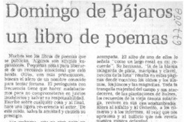 Domingo de pájaros: un libro de poemas