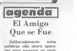 El amigo que se fue