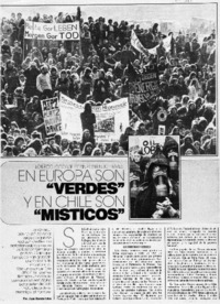 En Europa son "verdes" y en Chile son "misticos"