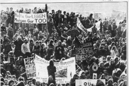 En Europa son "verdes" y en Chile son "misticos"