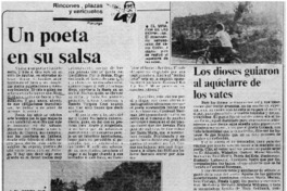 Un poeta en su salsa