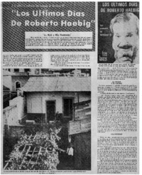 Los últimos días de Roberto Haebig" : [entrevista]