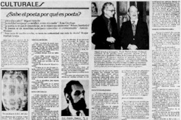 Sabe el poeta por qué es poeta?