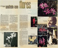 Flores : [entrevista]
