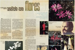 Flores : [entrevista]